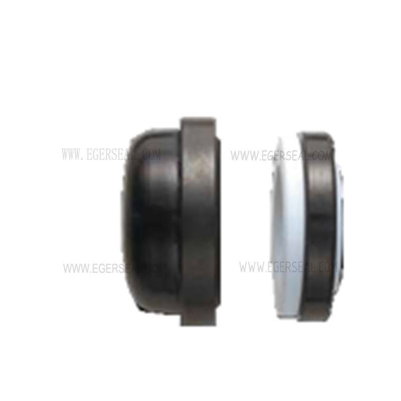 廠家直銷(xiāo)Aesseal安銥矢化工用B0H機(jī)械密封